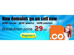 .co domain name only USD29!!