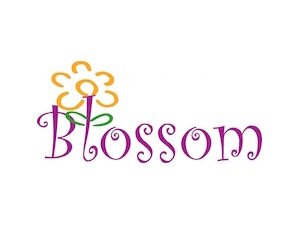 Blossom Lingerie Shop