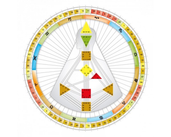 亞洲人類圖學院［人類圖一階線上課程］