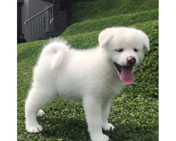 免費刊登分類廣告 - Classified Zero 香港免費分類廣告網