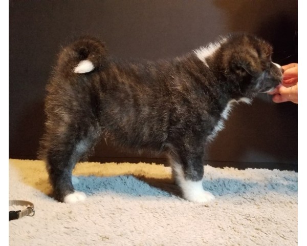 免費刊登分類廣告 - Classified Zero 香港免費分類廣告網