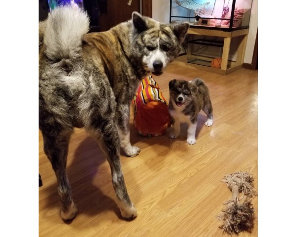 免費刊登分類廣告 - Classified Zero 香港免費分類廣告網