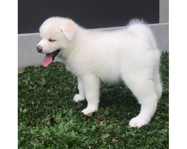 免費刊登分類廣告 - Classified Zero 香港免費分類廣告網